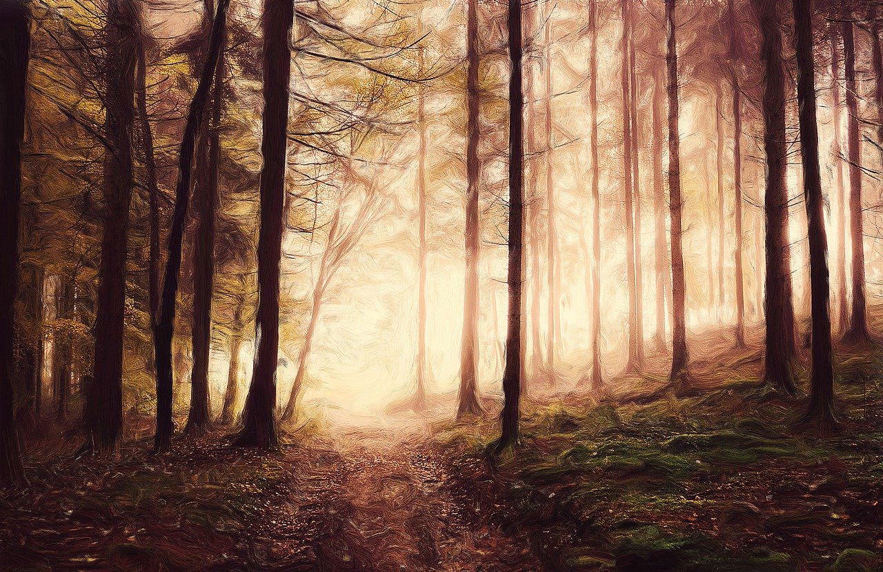 A painting of trees in the woods with sunlight coming through.