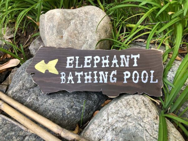 Elephant bathing pool this way.