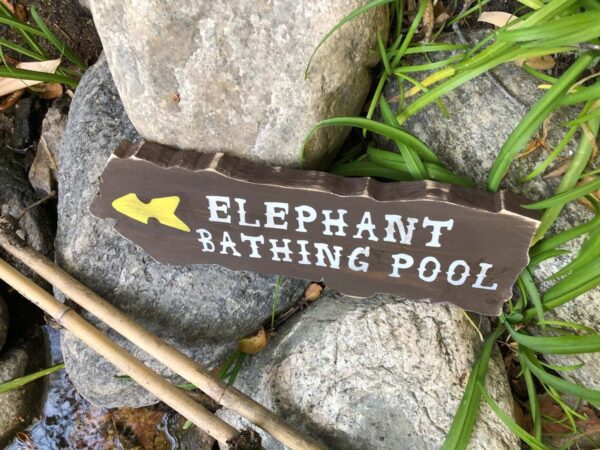 Elephant bathing pool sign.