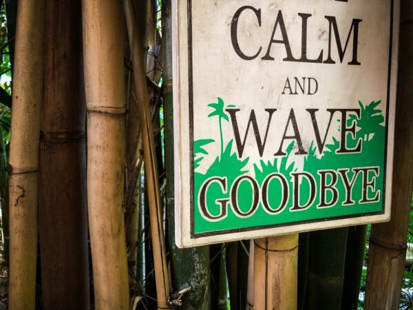 Calm and wave goodbye sign.