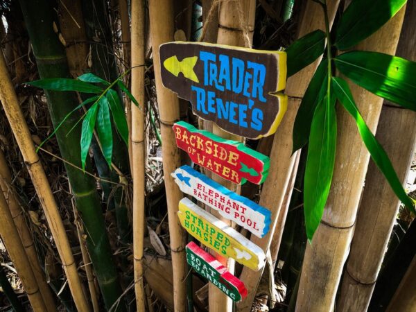 Trader Renees's bamboo signpost directions