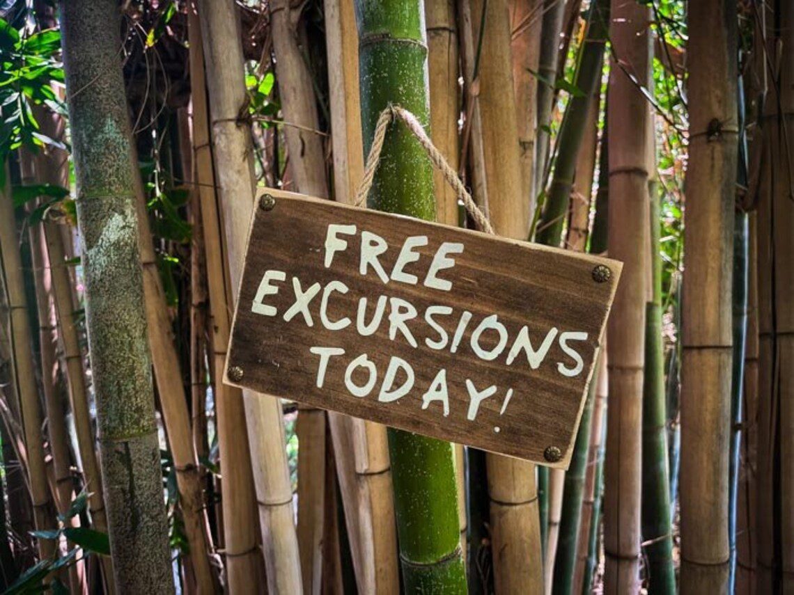 Free excursions today! Bamboo grove.