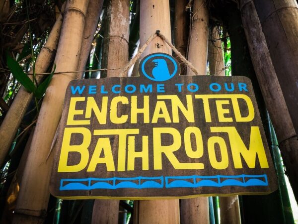 Welcome to our enchanted bathroom.