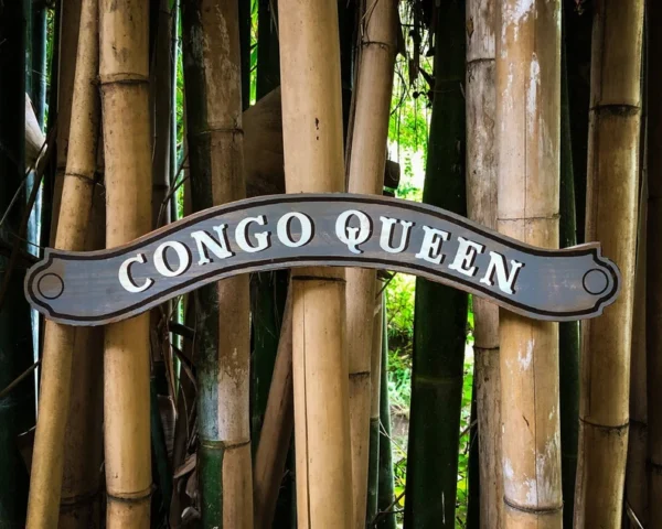 Congo Queen sign in bamboo grove.