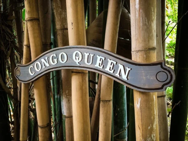 Congo Queen sign in bamboo grove.