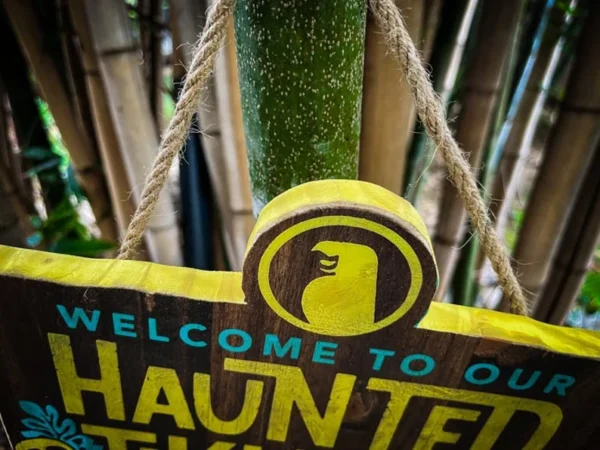 Welcome to our haunted tiki bar.