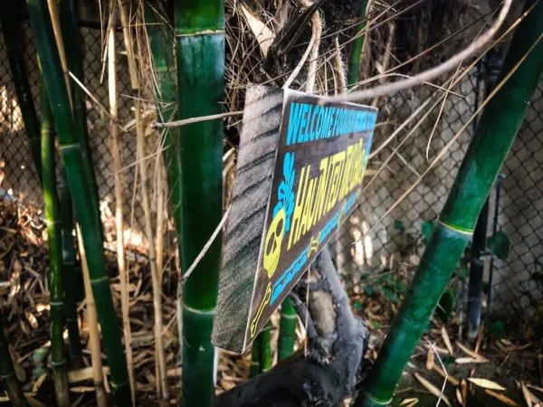 Haunted house welcome sign in bamboo.