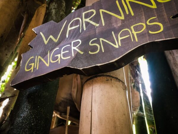 Warning: Ginger Snaps ahead