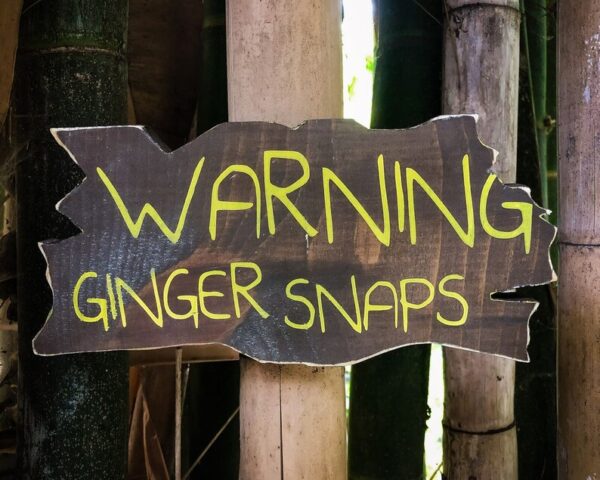 Warning: Ginger Snaps ahead!