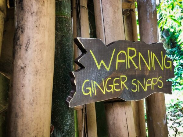 Warning: Ginger Snaps ahead!