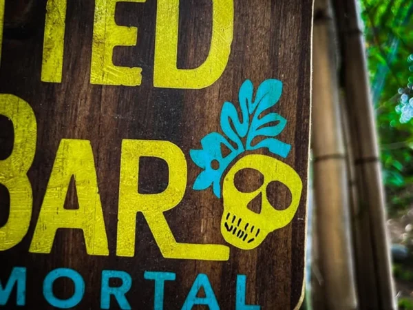 Wooden sign: Mortal Iced Bar skull.