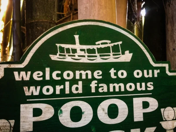 Welcome to our world famous poop deck.