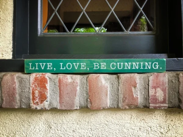 Live, love, be cunning sign.