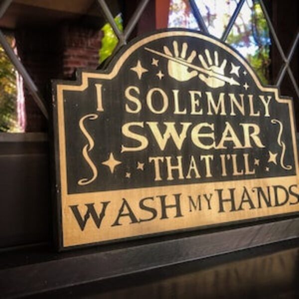 I solemnly swear I'll wash my hands.