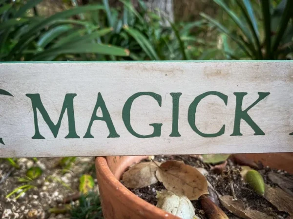 Here's an alt tag for the image: Green "Magick" garden sign.