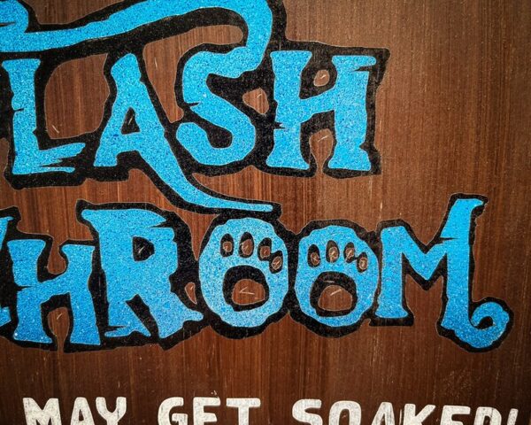 Splash Mountain Bathroom, Solid Wood and Paint, Hand Crafted, Unique Sign, Bathroom Wall Decor, Great Gift, Funny, Rustic, High Quality - Image 3