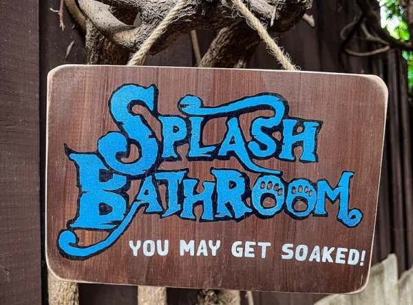 Splash Mountain Bathroom, Solid Wood and Paint, Hand Crafted, Unique Sign, Bathroom Wall Decor, Great Gift, Funny, Rustic, High Quality - Image 4