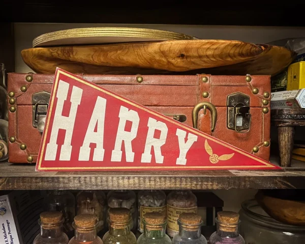 Red Harry Potter pennant on shelf.